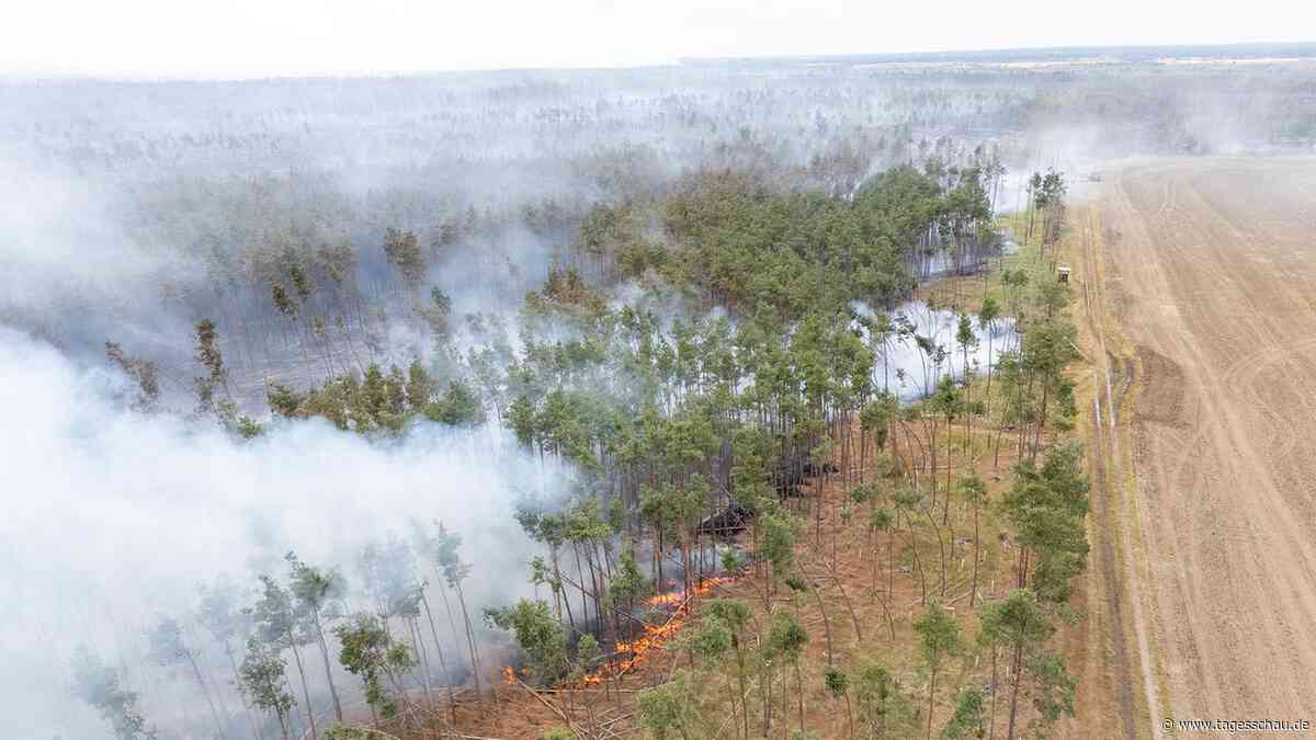 Deutlich mehr Waldbrände in Deutschland in 2025