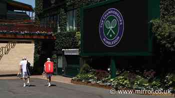 Tennis news: Iconic Wimbledon presenter replaced as BBC makes devastating announcement