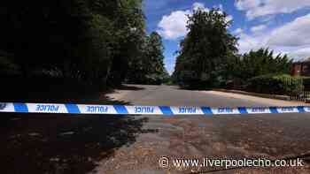 Boy, 15, arrested after teen stabbed and slashed in Birkenhead Park