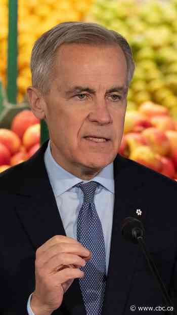 Fact check: How have grocery prices changed in a year?