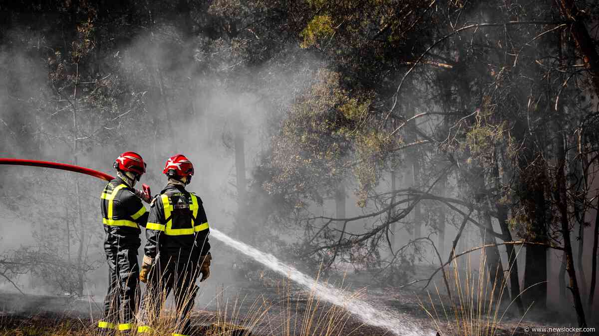 Defensie scherpt regels voor oefenen aan na natuurbranden