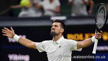 Novak Djokovic row escalates as Wimbledon star fires more shots on social media