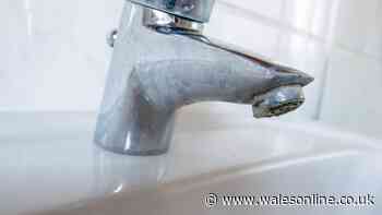 Cleaner's 2p limescale removal method leave taps sparkling — no scrubbing