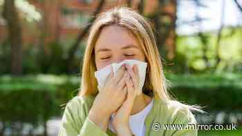 NHS grass rule for hay fever sufferers as UK hit by 'very high' pollen levels