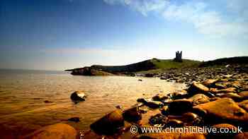 Picturesque campsite 1 hour from Newcastle named among UK's best for summer visit