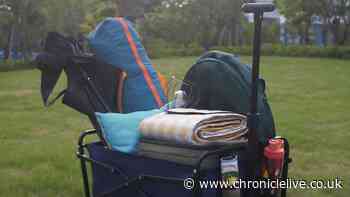 Dunelm clearance sale knocks 50% off 'must-have' trolley for summer day trips