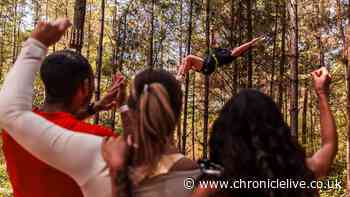 Go Ape in Northumberland confirms first ever adults only night time sessions for this summer