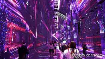 Dataland, the First AI Museum, Converts Info Into a Multisensory Kaleidoscope
