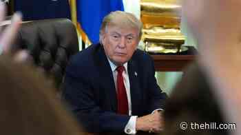 Trump to gas companies: 'Drop your price!' 
