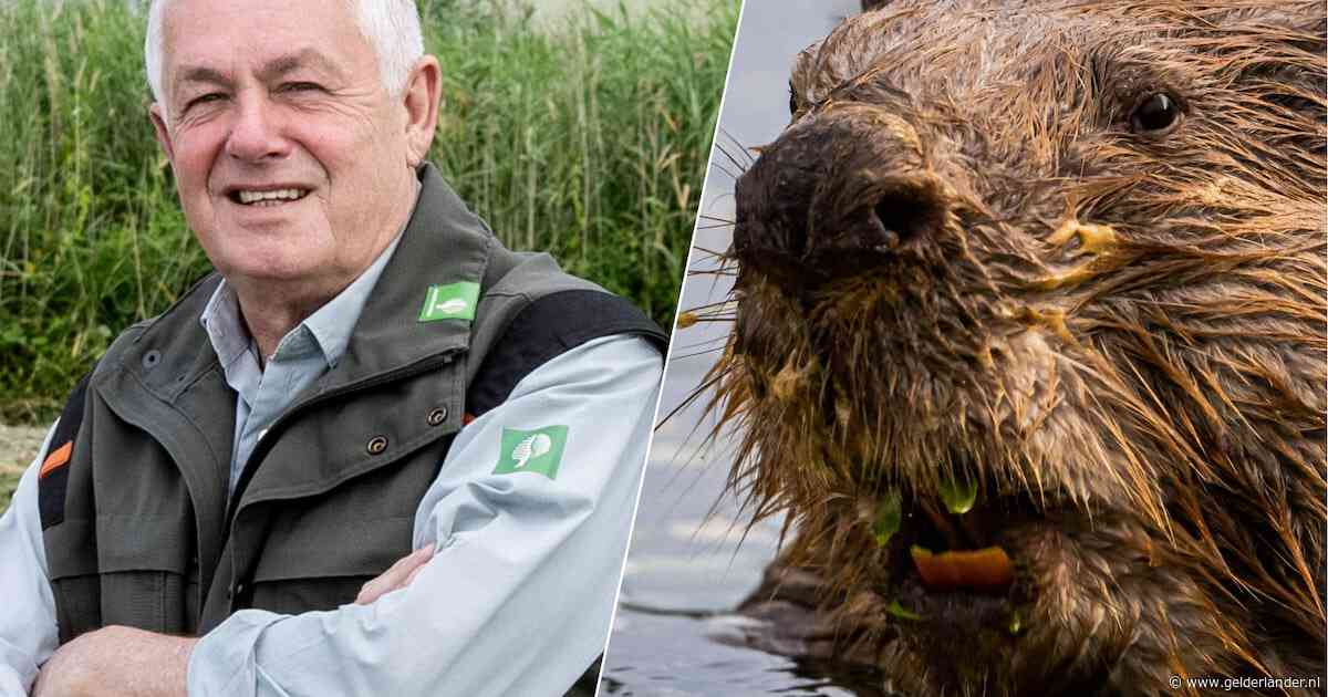 Mede dankzij Theo leven er nu weer bijna 10.000 bevers in Nederland, en dat is niet het enige dier dat hij heeft geholpen