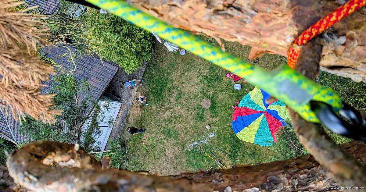 Nach Absturz in Fürth: Tierretter in schwindelerregender Höhe im Einsatz