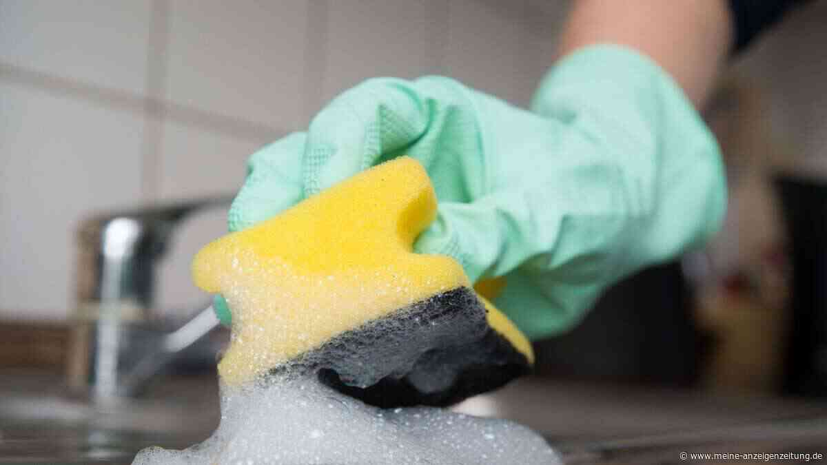 Stinkt und schmiert nicht? Wann Schwämme wirklich wegmüssen