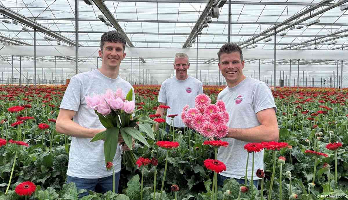 Familiebedrijf Villa Gerbera breidt uit met duurzame nieuwbouwkas