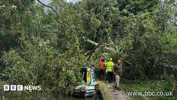 Canal blocked after tree falls on to boat