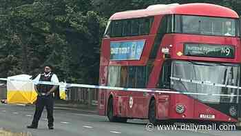 Man, 22, is stabbed to death 'after row on London night bus' as police launch manhunt