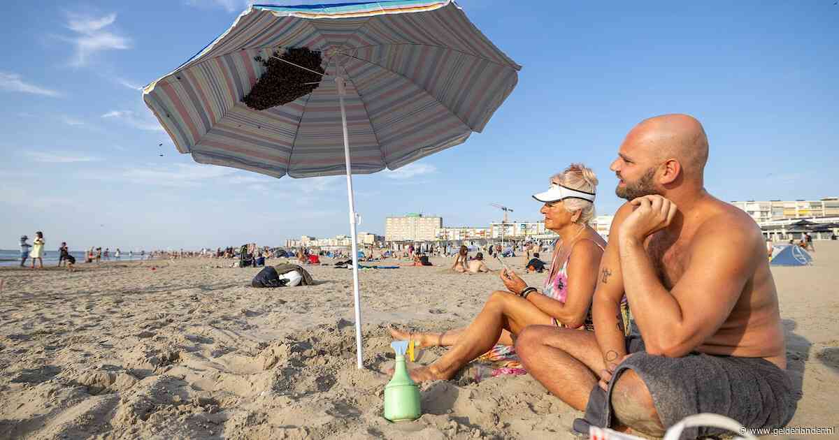 Last van een hoge hartslag tijdens de warmte? Tijdens de volgende hittegolf is dit waarschijnlijk een stuk minder