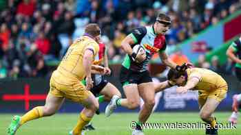 Wales explain tough reason for cutting English-based stars after surprise omission
