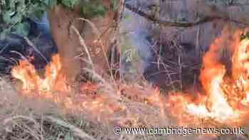 Farmer ‘frustrated’ after deliberate fire in Cambridgeshire field