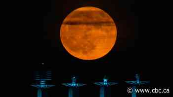 IN PHOTOS | See the stunning Strawberry Moon