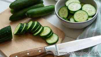 Keep cucumbers fresh for longer with simple utensil everyone has in the kitchen