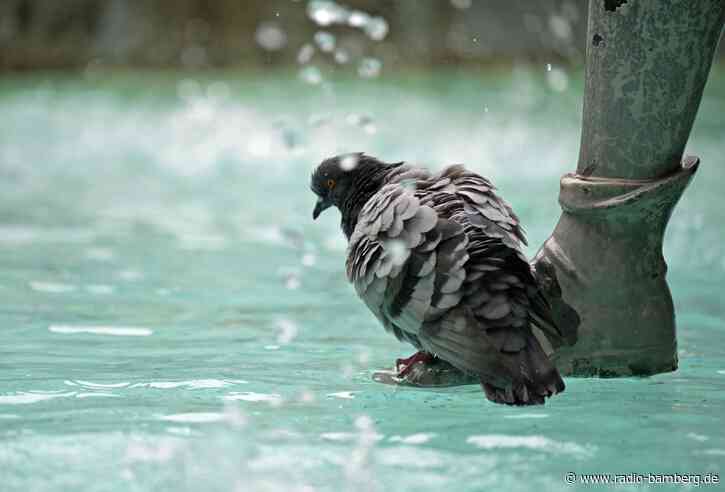 Wasserversorgung am Limit – München stellt Brunnen ab