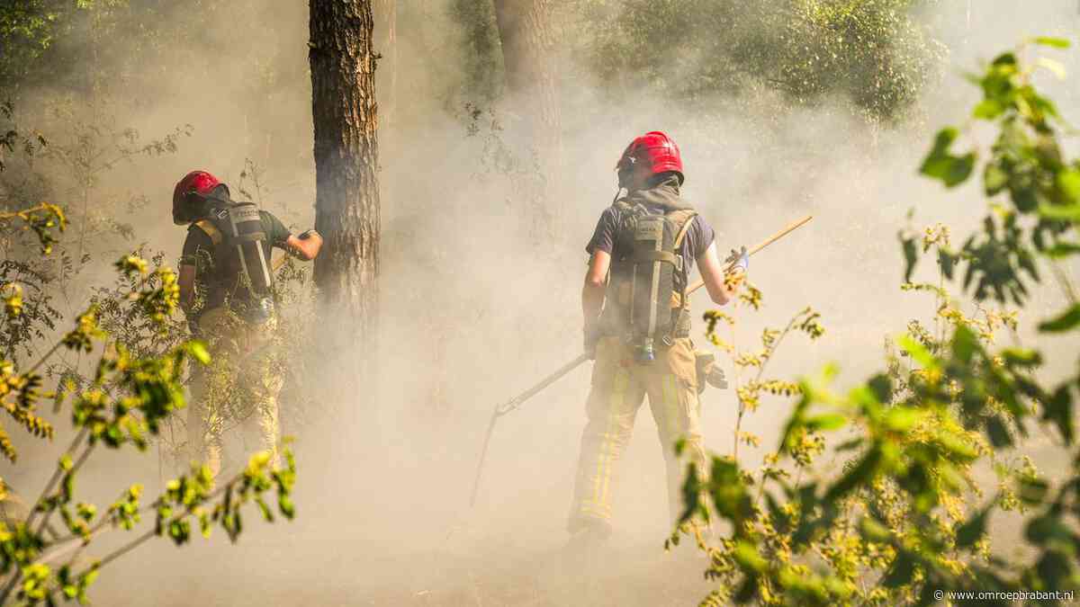 Kans op bosbrand door aanhoudende hitte: 'Die paar buien helpen nauwelijks'