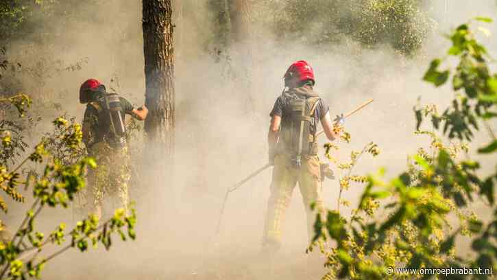 Kans op bosbrand door aanhoudende hitte: 'Die paar buien helpen nauwelijks'
