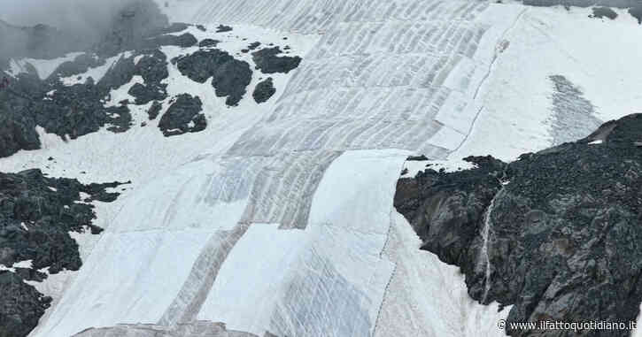 Teli geotessili per salvare il ghiacciaio del Presena (in funzione dello sci alpino). E qualcuno vi scrive sopra: “Morte sicura”