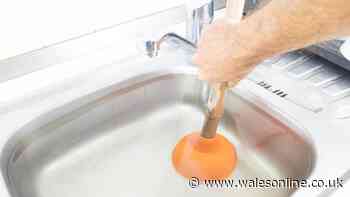 Everyone urged to stop pouring popular drinks down kitchen sink or risk hefty plumbing bill