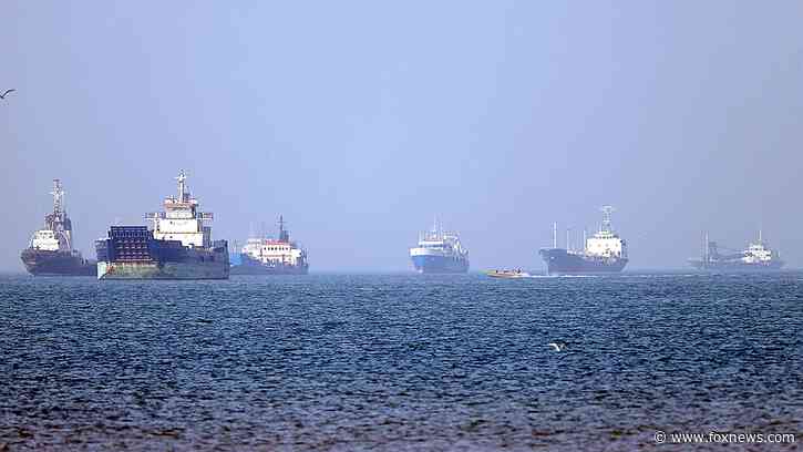 Shipping giant warns Strait of Hormuz chaos is 'new normal' as Tehran shifts 4M barrels
