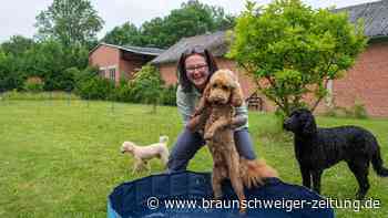 Neue Hundepension im Kreis Wolfenbüttel: Diese zwei sind die heimlichen Chefs
