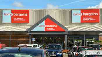Home Bargains £1.99 solar lights come in five 'charming' designs