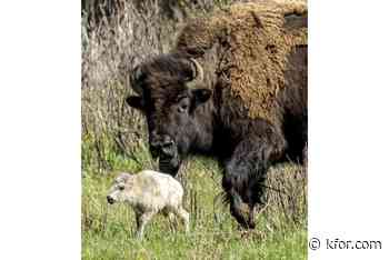 Arbuckle Wilderness halts operations following USDA order