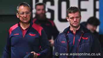 Scarlets make Nigel Davies announcement after raft of signings