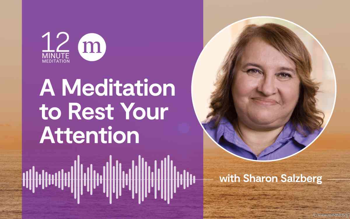A Meditation to Rest Your Attention