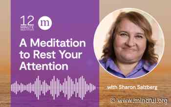 A Meditation to Rest Your Attention