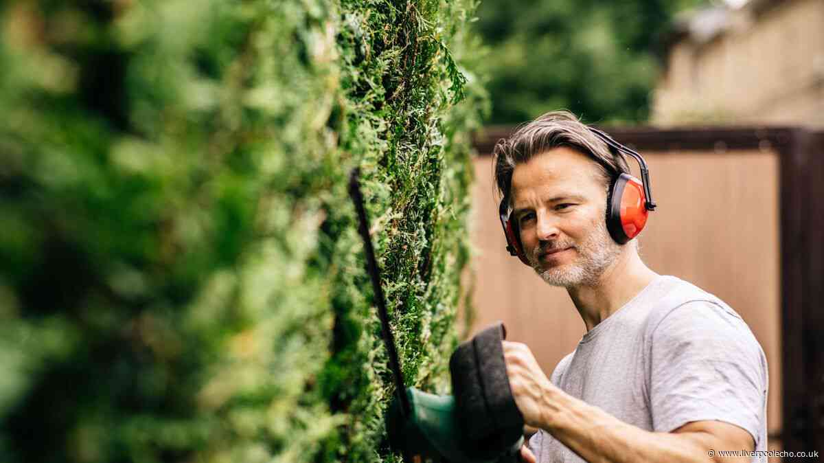 Gardeners urged not to trim hedges next month as it could break a law