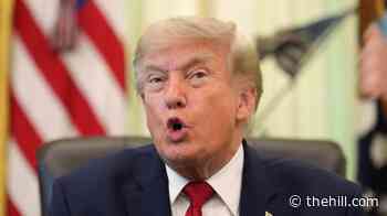 Trump says Supreme Court loss on birthright citizenship 'too bad,' calls on Congress to act