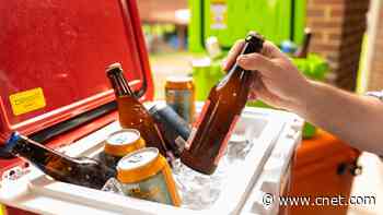 Our Best-Tested Ice and Electric Coolers to Help You Survive a Scorching Summer