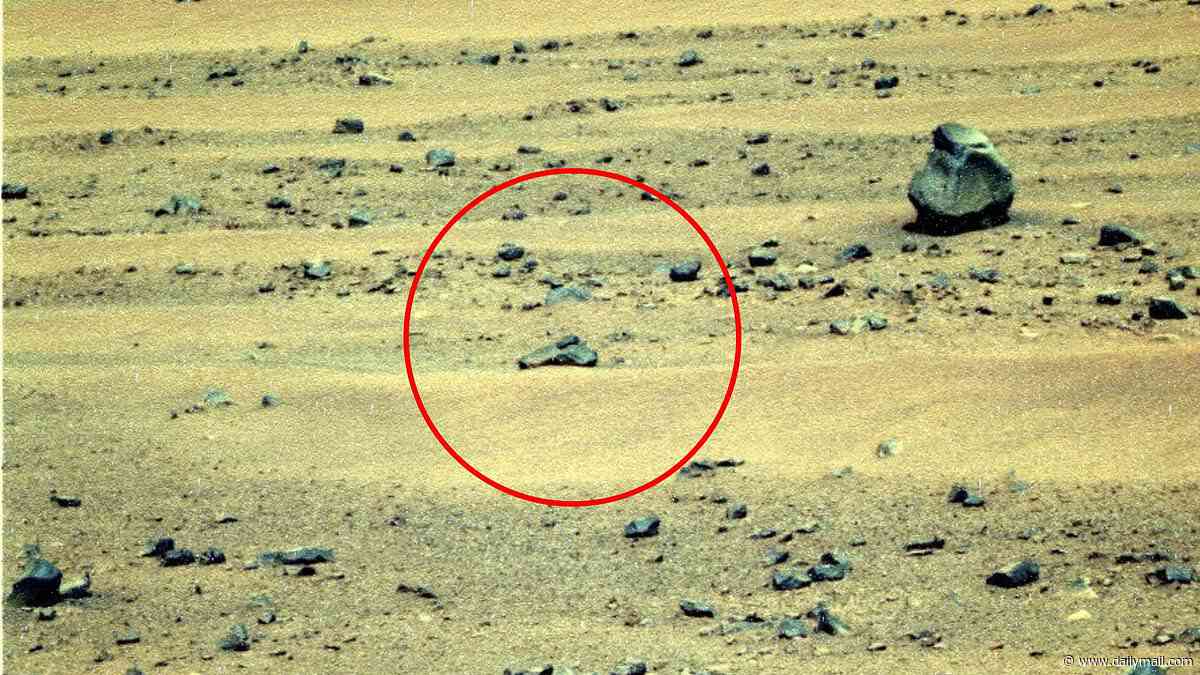 Strange formation in NASA's Mars photo fuels claims of extraterrestrial life on the Red Planet