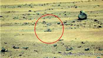 Strange formation in NASA's Mars photo fuels claims of extraterrestrial life on the Red Planet