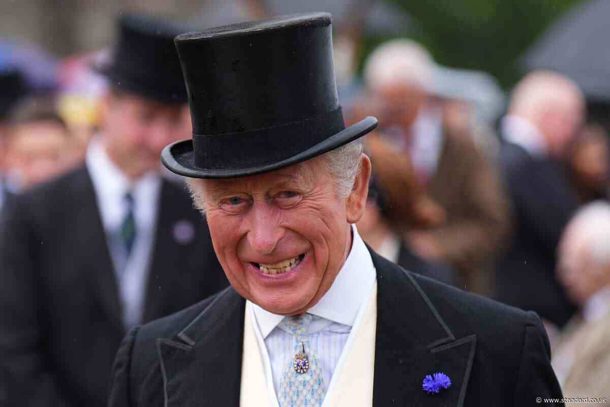 Meeting the King ‘great honour’, says charity star at royal garden party