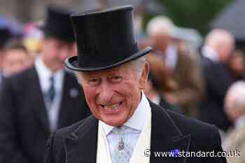 Meeting the King ‘great honour’, says charity star at royal garden party