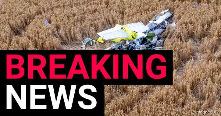 Fears for pilot after plane crashes in field just outside small village in Essex