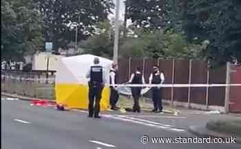 Hounslow stabbing: Murder investigation launched as man, 22, killed in West London 'after row on bus'