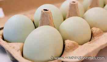 Cracking down: DOJ sues egg giants for allegedly rigging prices