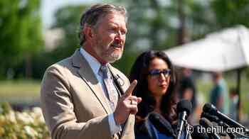 Massie bill on Israel funding splits Democrats: ‘Never seen anything like it’ 