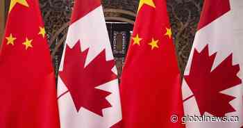 China slaps 73.5% preliminary tariff on pea starch from Canada