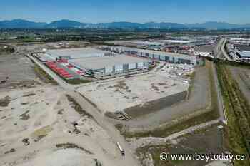 B.C. landowner loses bid to reopen landmark Cowichan Aboriginal title case
