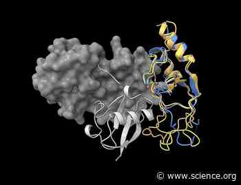 ZNRF3 and RNF43 are active monomeric E3 ubiquitin ligases that self-associate | Science Signaling
